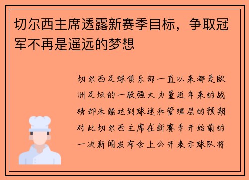切尔西主席透露新赛季目标，争取冠军不再是遥远的梦想